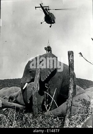 17. April 2012 - Luftbrücke Elefant in Ruanda. Stockfoto