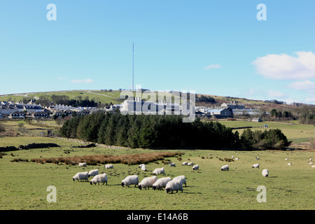 Dartmoor Gefängnis in Princetown Stockfoto
