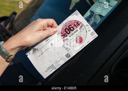 Nahaufnahme von einer kompletten ungelochte DVLA Straßenfonds Lizenz ausgestellt Stockfoto