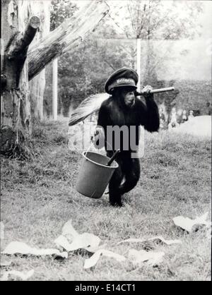 17. April 2012 - alle Teil von seiner täglichen Routine: '' Waldemar'' junge Schimpansen im Hellabrunn Zoo in München, legt viel Wert auf halten seinen Teil der Reservierung sauber und ordentlich und damit Teil seiner täglichen Routine ist zum Bummeln mit seiner Schaufel und Besen Aufräumen des Wurfes. Stockfoto