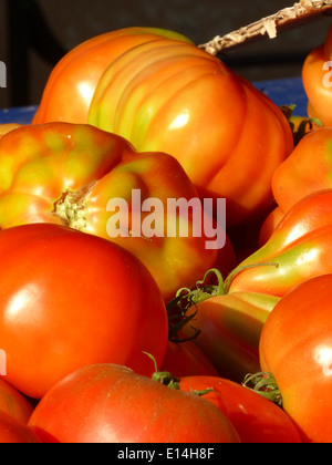 Obst und Gemüse Markt in Ajaccio, Korsika Stockfoto