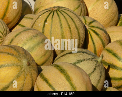 Obst und Gemüse Markt in Ajaccio, Korsika Stockfoto