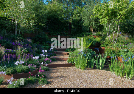 Terrassen bepflanzt mit Alpenhöhen und Stauden in "A Garden für erste Touch im St. George" bei RHS Chelsea Flower Show Stockfoto