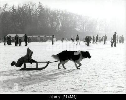 5. April 2012 - eine ungewöhnliche '' Schlitten-Hund ''...... ist hier auf einem zugefrorenen See in der Nähe von München/West-Deutschland zu sehen. zwischen Sonntag Eisläufer und Eishockey spielen jungen, die er ruhig marschierte, zeichnen den Schlitten hinter ihm, über das Eis. Es ist ein Beispiel, dass die clevere Bernhardiner Hund die Rolle des ein Siberian Husky, der ursprünglichen Schlitten-Hund übernehmen kann. Stockfoto