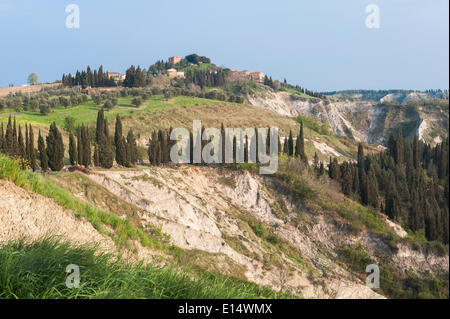 Erosion-Landschaft der Crete Senesi, Dorf Chiusure auf der Rückseite, Asciano, Toskana, Italien Stockfoto