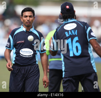 Sussex County Cricket Spieler einschiffigen Arif Gondal Stockfoto