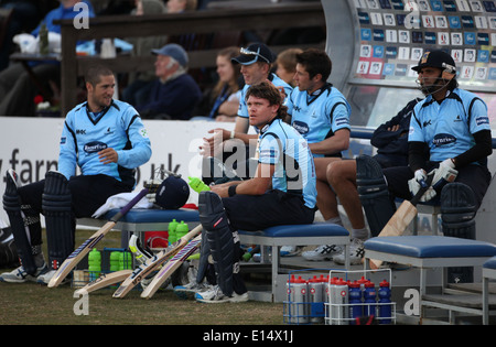 Sussex County Cricket Spieler Lou Vincent Stockfoto