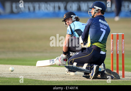 Sussex County Cricket Spieler Lou Vincent mit der Wimper. Stockfoto