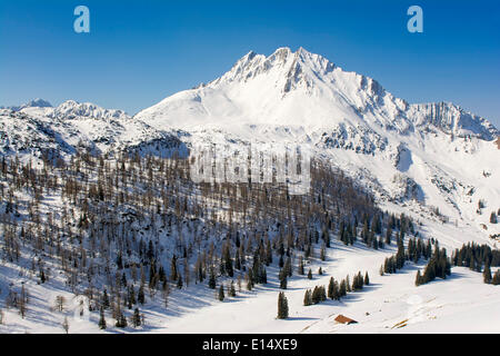 Mondscheinspitze-Berg im Winter, Karwendelgebirge, Tirol, Österreich Stockfoto