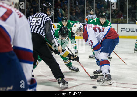 Eine dritte Periode Faceoff zwischen Edmonton Oil Kings und Val-d ' or QMJHL 2014 Memorial Cups am 20. Mai 2014, in London, Ontario, Kanada. Val-d ' or QMJHL ging auf in den Kampf zurück aus einem zwei Tor Rückstand auf das Spiel in der Overtime zu gewinnen. Stockfoto