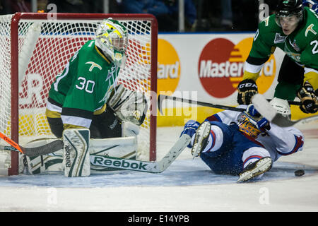 Val-d ' or QMJHL Torwart Antoine Bibeau blockt in der dritten Periode 2014 Memorial Cups am 20. Mai 2014, in London, Ontario, Kanada. Val-d ' or QMJHL ging auf in den Kampf zurück aus einem zwei Tor Rückstand auf das Spiel in der Overtime zu gewinnen. Stockfoto