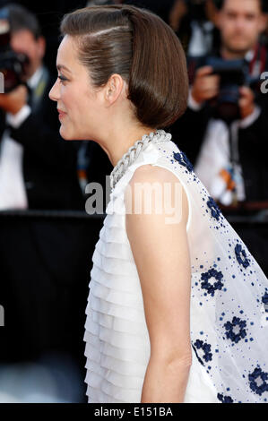 Marion Cotillard Teilnahme an der "Deux Jours, Une Nuit/zwei Tage, eine Nacht" premiere auf der 67. Filmfestspiele von Cannes am Mai 20, 2014/Bild Allianz Stockfoto