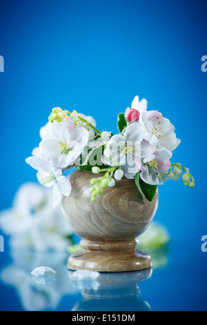 Frühlingsstrauß Maiglöckchen und Apfelblüte auf blauem Hintergrund Stockfoto