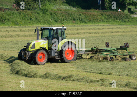 Traktor "Rudern" bereits geschnittenen Rasen zum Trocknen für Silage im Feld in Gloucestershire im späten Frühjahr. Stockfoto