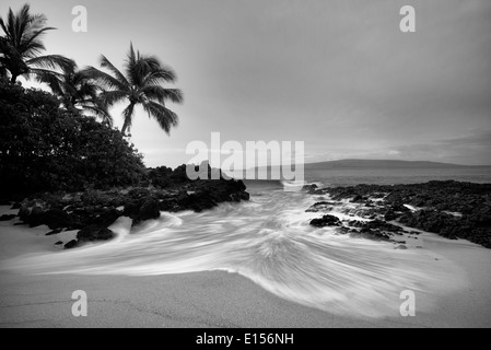 Einsamen Strand mit Palmen und Sonnenaufgang. Maui, Hawaii Stockfoto