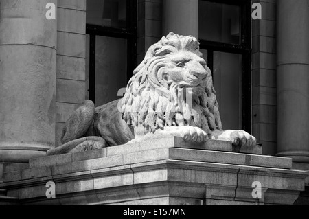 Afrikanischer Löwe Granit Statue außerhalb der Vancouver Art Gallery, früher das Old Court House Gebäude, Vancouver, BC, Kanada Stockfoto