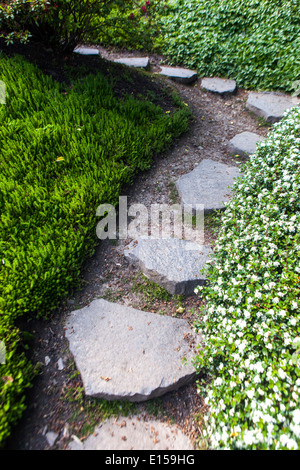 Gartenweg und Steinweg in grasbewachsenen grünen Rasen gewundenen Pfad Garten Stockfoto