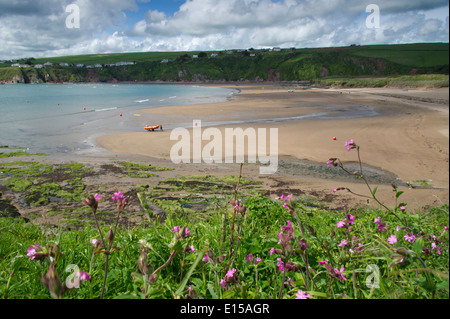 Bantham Village und Strand in Devonshire in Privatbesitz. Zu sehen sind auch der Gastrobus und das Sloop Inn. Stockfoto