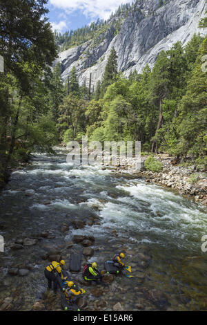Yosemite Nationalpark, Kalifornien, USA. 22. Mai 2014. Donnerstag, 22 Mai, 2014.Members von Yosemite Such-und Rettungsmissionen (SAR) treten Sie ein in Merced River mit Fluss-Boards Demonstration tagsüber Swift Wasser im Yosemite National Park, Kalifornien. Die jährlichen Swift Wasserrettung Demonstration fand in Merced River in der Nähe von Happy Isles Brücke im Yosemite Valley. Obwohl Yosemite nur etwa 40 % der normalen Schneedecke in der Wintersaison 2013/2014 erhielt, fließt Merced River noch bei hohem Wasserstand. Yosemite National Park vorbeugende Suche und Rettung (PSAR) pr Stockfoto