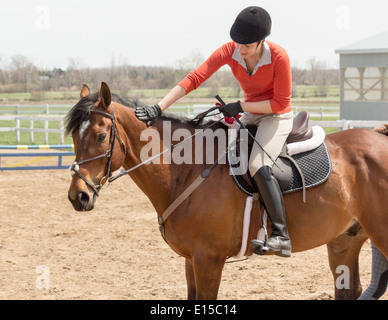 Frau streichelte ihr Pferd während rittlings auf in Ehglish Reiten, Ausrüstung und Kleidung. Stockfoto