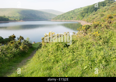 Meldon Reservoir im Dartmoor National Park, die Teile des Südwestens mit Trinkwasser versorgt Stockfoto