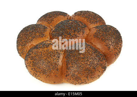 Challah mit blauen Mohn isoliert auf weiss Stockfoto