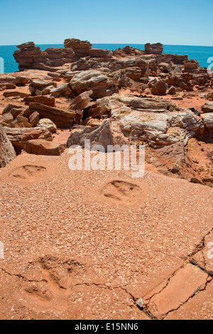 Australien, Western Australia, Broome, Gantheaume Point. Replik von 130 Millionen Jahre alten Dinosaurier-Fußspuren. Stockfoto