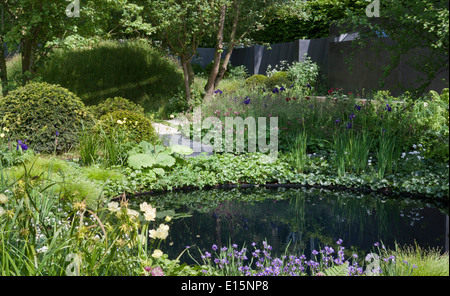 RHS Chelsea Blumenschau 2014 RHS Chelsea Blumenschau 2014 - Garten - Niemandsland - ABF die Soldaten Charity anlässlich der Stockfoto