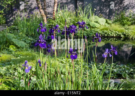 RHS Chelsea Blumenschau 2014 - Garten - Niemandsland - ABF die Soldaten Charity anlässlich die Hundertjahrfeier des ersten Weltkrieges - Design Stockfoto