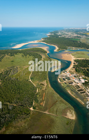 Talmont Saint-Hilaire (Departement Vendée): die Sümpfe Stockfoto