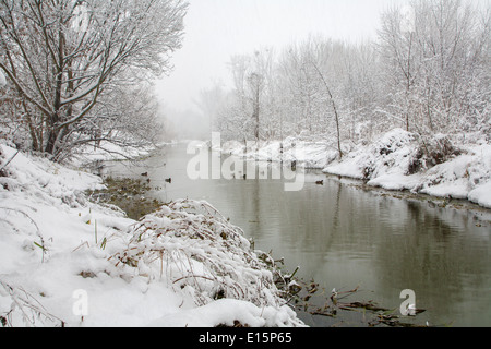 Kleine Donau Fluß im Winter - West-Slowakei Stockfoto