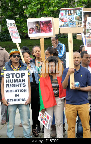 London, UK. 23. Mai 2014. Protest gegen Menschenrechtsverletzungen in Äthiopien gegen die Oromo (auch bekannt als Galla) gegenüber Parlament Stockfoto