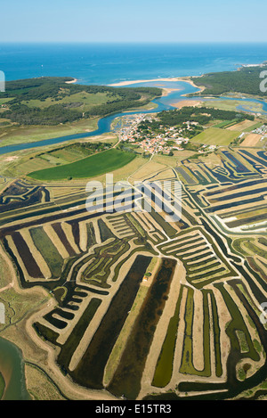 Talmont Saint-Hilaire (Departement Vendée): die Sümpfe Stockfoto