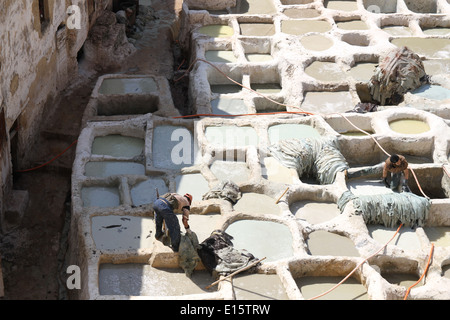 Männer arbeiten in Gerbereien in Fes, Marokko Stockfoto