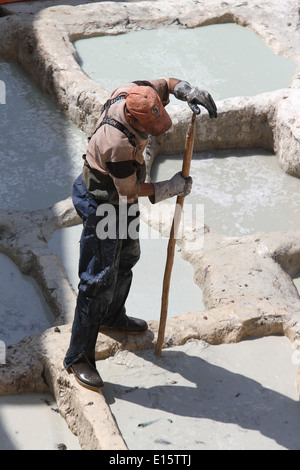 Männer arbeiten in Gerbereien in Fes, Marokko Stockfoto