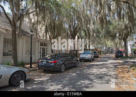 Haile Plantage ist eine gehobene Entwicklung von Eigentumswohnungen Wohnungen Häuser ein einzigartiges Dorfzentrum, Golf & CC in Gainesville FL. Stockfoto