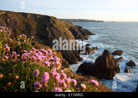 Cléden-Cap Sizun (Finistère Abteilung): die Landzunge "Pointe du Van" Stockfoto