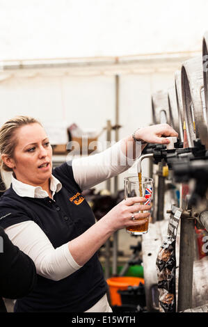 Lager, Essex. 23. Mai 2014.  Michelle Corrigan, gießt die Wirtin der Kneipe Hoop einen Pint Bier am Tag Eröffnung von THE HOOP Bierfest, Essex berühmteste Bierfest.  In den letzten zwanzig Jahren ist das Hoop Bierfest in Lager Dorf ein jährliches Ereignis, Zeichnung von Ernst Bier einzureden Folk aus so weit weg wie Norwegen und Australien geworden.  Fotograf: Gordon Scammell/Alamy Live-Nachrichten Stockfoto