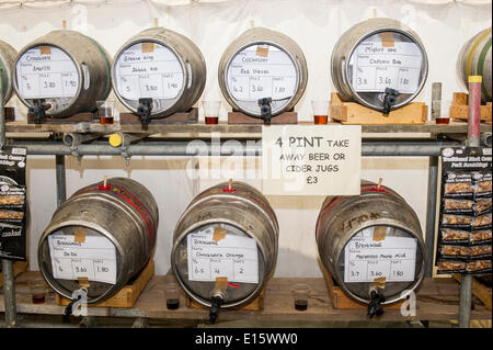 Lager, Essex. 23. Mai 2014. Eine kleine Auswahl an Ales am Tag Eröffnung von THE HOOP Bierfest, Essex berühmteste Kneipe Bierfestival zur Verfügung.  In den letzten zwanzig Jahren ist das Hoop Bierfest in Lager Dorf ein jährliches Ereignis, Zeichnung von Ernst Bier einzureden Folk aus so weit weg wie Norwegen und Australien geworden.  Fotograf: Gordon Scammell/Alamy Live-Nachrichten Stockfoto