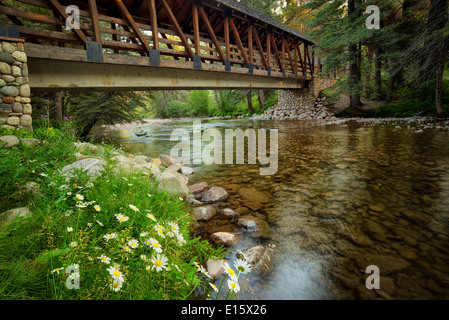 Überdachte Fußgängerbrücke und Daisy Blumen mit Gore Creek. Gerald Ford Park. Vail, Colorado Stockfoto