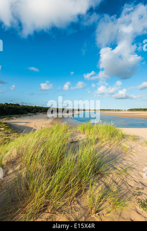 Talmont Saint-Hilaire Vendée-Abteilung: die Bucht "Anse du Veillon" Stockfoto