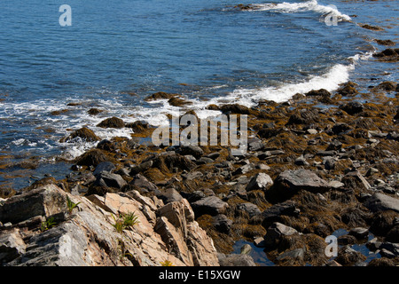 Ogunquit, Maine – 4. September 2013: Kleine Wellen an der felsigen Küste in der Nähe von Perkins Cove. Stockfoto