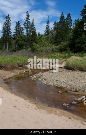 Acadia-Nationalpark – 7. September 2013: eine große Pfütze schlängelt sich Sand Strand. Stockfoto