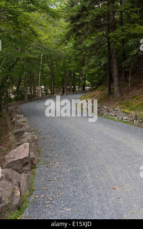 Acadia-Nationalpark – 7. September 2013: der Weg zum Tag Berg führt durch wilde Wälder Acadia es. Stockfoto