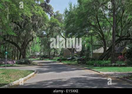 Haile Plantage ist eine gehobene Entwicklung von Eigentumswohnungen Wohnungen Häuser ein einzigartiges Dorfzentrum, Golf & CC in Gainesville FL. Stockfoto