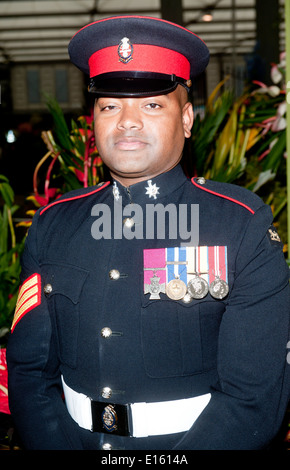 Johnson Beharry in der VIP-Vorschau Tag der Chelsea Flower Show im Royal Hospital Chelsea am 19. Mai 2014 in London, England Foto von Brian Jordan Stockfoto