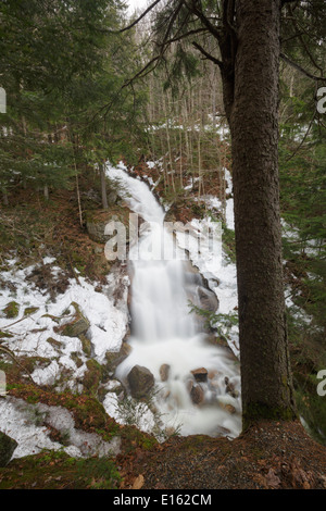 Franconia Notch State Park - Liberty Schlucht Kaskade in den Frühlingsmonaten in Lincoln, New Hampshire, USA Stockfoto