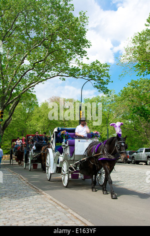 Pferd und Wagen sind ein alltäglicher Anblick in Central Park in New York City, New York, USA Stockfoto