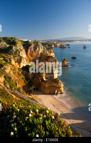 Praia Camilo Strand zwischen Ponta da Piedade und Lagos Algarve Portugal Morgen Dawn Sonnenaufgang Blick Stockfoto