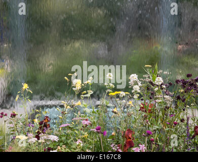 Völker Choice Award Gewinner im Bereich frisch-Gärten - RHS Chelsea Flower show 2014 - The Mind Eye Garten für RNIB - Royal National Institute for the Blind - Designer LDC Design - Sponsoren - Landschaft - beste Show in der frisch Gärten & Gold-Medaille ausgezeichnet Stockfoto